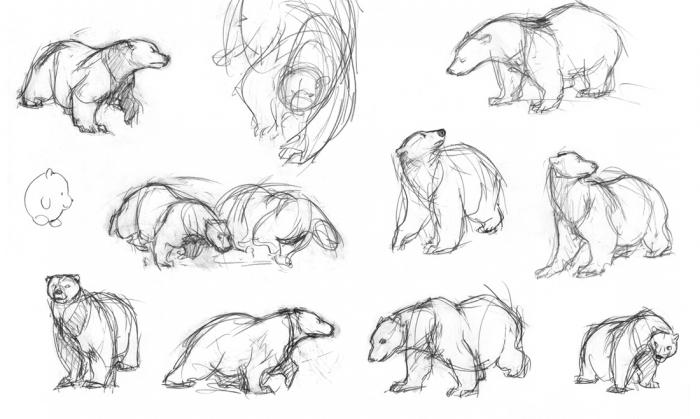 Jak pięknie narysować niedźwiedzia?