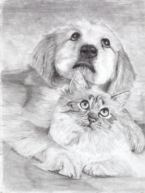 Jak narysować kota i psa razem