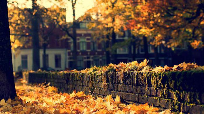 Mini-kompozycja: 5 zdań o jesieni