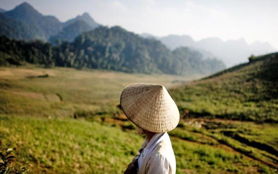 Wyjątkowo udane wakacje: Wietnam. Odwołanie doświadczonego turysty nie pozwoli ci kłamać